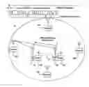 Fig. 01 - Land-based local ranging signal methods and systems