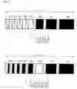 Fig. 07 - Plasma display apparatus and method of driving the same