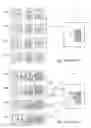 Fig. 02 - Server-client architecture in medical imaging