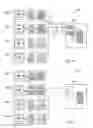 Fig. 06 - Server-client architecture in medical imaging