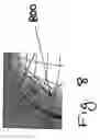 Fig. 09 - Dynamically adjusted brush for direct paint systems on parameterized multi-dimensional surfaces