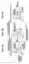 Fig. 07 - Image forming apparatus and image write start position adjusting method for the same