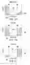 Fig. 05 - Automatic exposure control method and automatic exposure compensation apparatus
