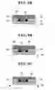 Fig. 09 - Color filter substrate for liquid crystal display device and method for manufacturing the same