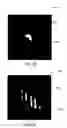 Fig. 13 - System and method for inspection of films