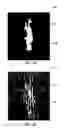 Fig. 14 - System and method for inspection of films