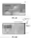 Fig. 09 - Image correction apparatus and image correction method
