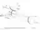 Fig. 04 - Arrangement for illumination and/or detection in a microscope