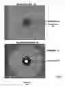 Fig. 04 - Physical identification of an optical disc
