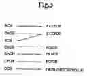 Fig. 04 - Method of wireless channel resource allocation and rate control in a cdma communication system