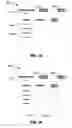 Fig. 28 - Methods, apparatus and data structures for managing distributed communication systems