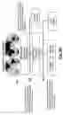 Fig. 11 - Method and apparatus for network deception/emulation