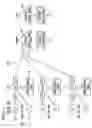 Fig. 02 - High capacity advanced 8YY mass calling event network architecture
