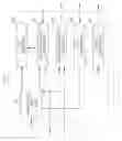 Fig. 12 - Multipoint-to-point communication using orthogonal frequency division multiplexing