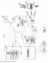 Fig. 02 - Service chaining