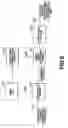 Fig. 07 - Information recording/playback apparatus and method