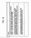 Fig. 13 - Information processing apparatus and method, information recording medium manufacturing apparatus and method, and information recording medium