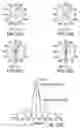Fig. 22 - Channel decoding for wireless telephones with multiple microphones and multiple description transmission