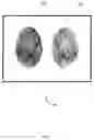 Fig. 08 - System and method for robust fingerprint acquisition