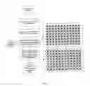Fig. 02 - Image based correction for unwanted light signals in a specific region of interest