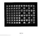 Fig. 07 - Image based correction for unwanted light signals in a specific region of interest