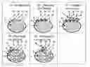 Fig. 01 - Embedded system for diagnostics and prognostics of conduits