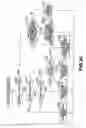 Fig. 46 - Information processing apparatus and method, and program storage medium