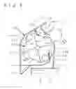 Fig. 05 - Image forming apparatus having a heat-discharging rotary-type development unit