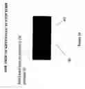 Fig. 16 - Cargo securement, cargo shift stop