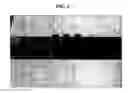 Fig. 10 - Automatic, field portable analyzer using discrete sample aliquots