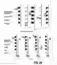 Fig. 25 - Microsystems that integrate three-dimensional microarray and multi-layer microfluidics for combinatorial detection of bioagent at single molecule level