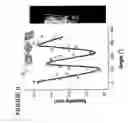 Fig. 11 - Carbon nanotube compositions and devices and methods of making thereof