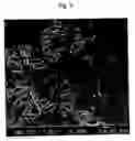 Fig. 04 - Titanium dioxide nanorod and preparation method thereof