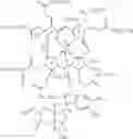 Fig. 08 - Cobalamin conjugates useful as imaging and therapeutic agents