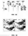 Fig. 04 - Methods and compositions for inhibiting cholesterol uptake