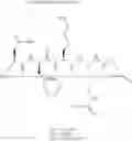 Fig. 14 - Optical imaging of endometriosis