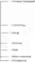Fig. 26 - Malodor counteractant compounds