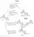 Fig. 02 - Derivatives of morphine-6-glucuronide, pharmaceutical compositions containing them, their preparation method and their uses