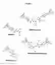 Fig. 04 - Derivatives of morphine-6-glucuronide, pharmaceutical compositions containing them, their preparation method and their uses