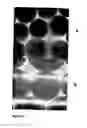 Fig. 03 - Cell and enzyme compositions for modulating bile acids, cholesterol and triglycerides
