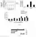Fig. 08 - Method for activating T cell protein tyrosine phosphatase for therapeutic applications
