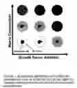 Fig. 02 - Stem cells within gel microenvironments