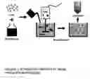 Fig. 04 - Stem cells within gel microenvironments