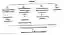 Fig. 01 - Ex vivo and in vivo methods and related compositions for generating hematopoietic stem cell populations