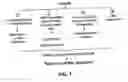 Fig. 02 - Ex vivo and in vivo methods and related compositions for generating hematopoietic stem cell populations