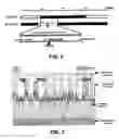 Fig. 03 - Ex vivo and in vivo methods and related compositions for generating hematopoietic stem cell populations