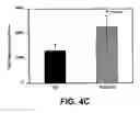 Fig. 05 - Ex vivo and in vivo methods and related compositions for generating hematopoietic stem cell populations