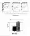 Fig. 07 - Ex vivo and in vivo methods and related compositions for generating hematopoietic stem cell populations