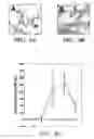 Fig. 05 - Methods of isolation, expansion and differentiation of fetal stem cells from chorionic villus, amniotic fluid, and placenta and therapeutic uses thereof