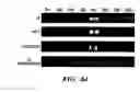 Fig. 08 - Methods of isolation, expansion and differentiation of fetal stem cells from chorionic villus, amniotic fluid, and placenta and therapeutic uses thereof